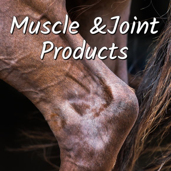 Muscle & Joint Relief Gel