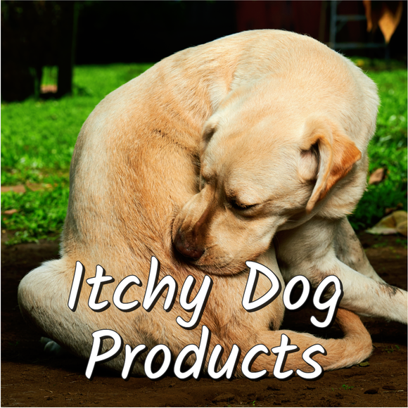 Itchy Dog Products
