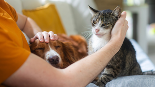 One Family, One Cabinet: How the Same Natural Ingredients Soothe Skin in People, Dogs, Cats and Horses