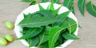 All About Neem Oil