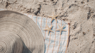 Natural Ingredients That Help Calm Summer Skin Irritation