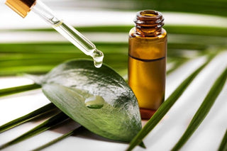 Why Tea Tree Oil is a Skincare Superhero