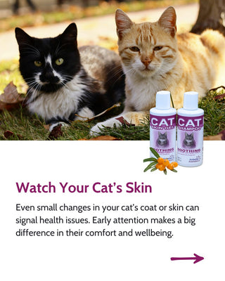 Cat Gel & Shampoo Bundle