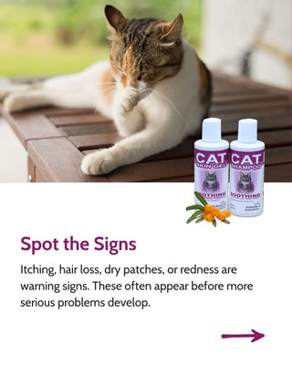 Cat Gel & Shampoo Bundle