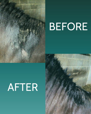 Itchy Horse Cream PLUS 250ml