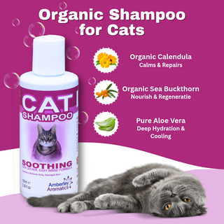 Cat Shampoo - Organic (SLS & Paraben Free) - 100ml