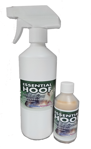 Essential Hoof Anti-Bac Spray 500ml & Concentrate 100ml Combo