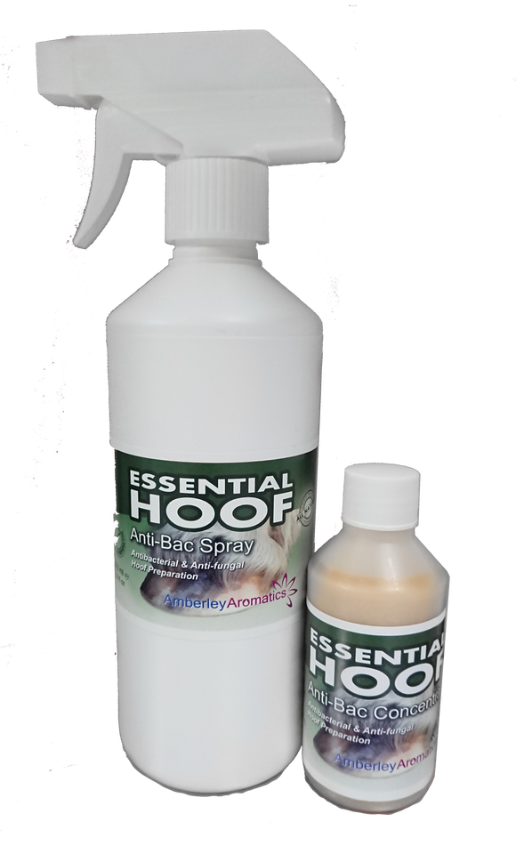Essential Hoof Anti-Bac Spray 500ml & Concentrate 100ml Combo