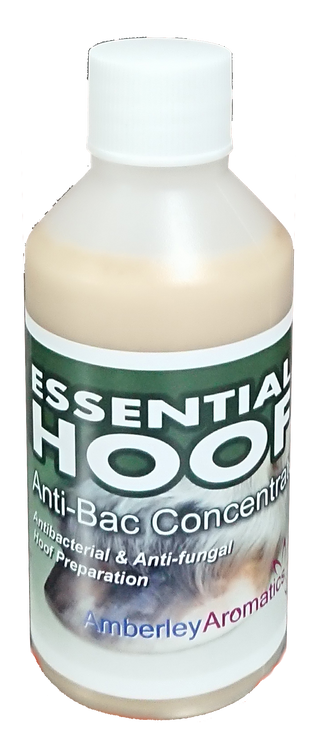 Essential Hoof Anti-Bac Spray 500ml & Concentrate 100ml Combo
