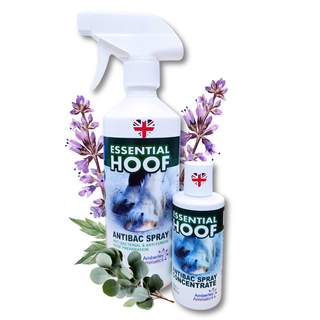 Essential Hoof Spray and Concentrate Bundle