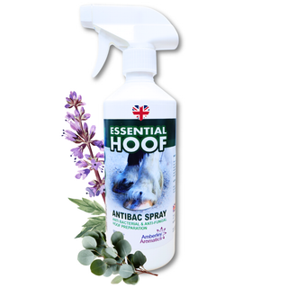 Essential Hoof Anti-Bac Spray 500ml