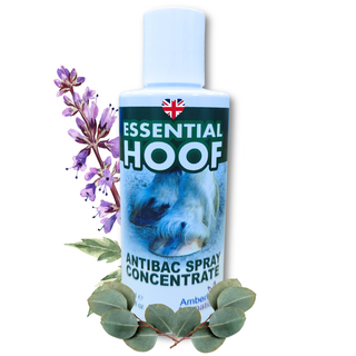 Essential Hoof Anti-Bac Concentrate 100ml - Makes another 500ml Spray