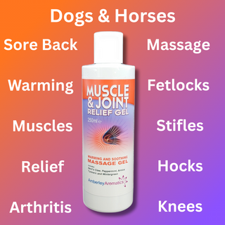 Muscle & Joint Relief Gel - 250ml