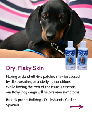 Itchy Dog Cooling Skin Relief Gel