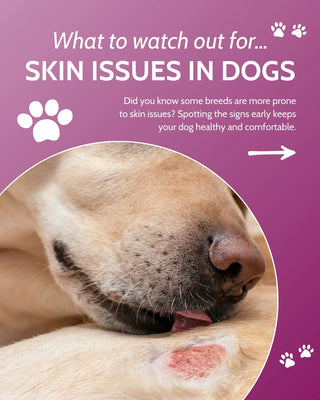 Itchy Dog Cooling Skin Relief Gel