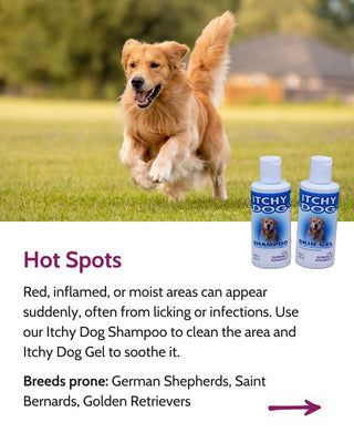 Itchy Dog Cooling Skin Relief Gel