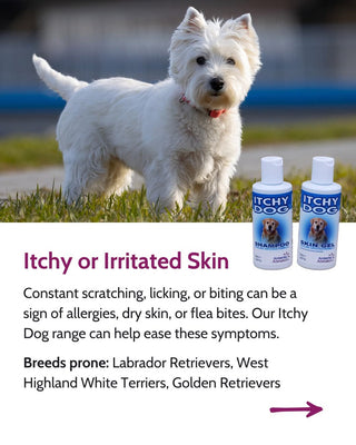 Itchy Dog Cooling Skin Relief Gel