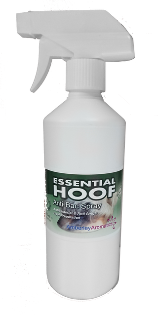 Essential Hoof Anti-Bac Spray 500ml